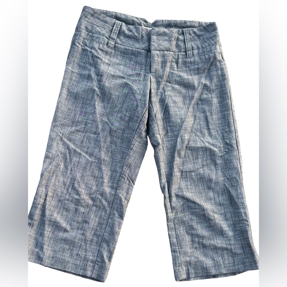 Style that Works by Vanity ladies carpi pants size 3